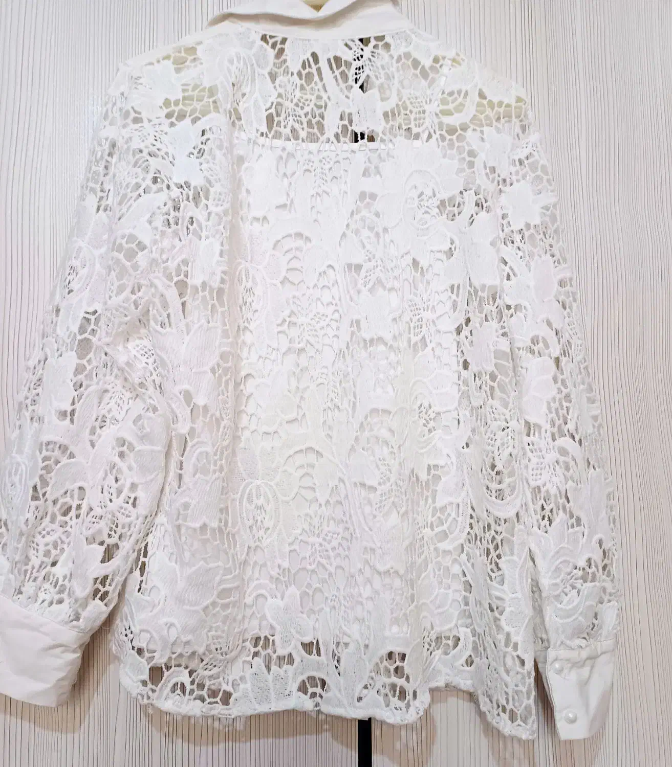 شومیز مجلسی|لباس|اردبیل, |دیوار