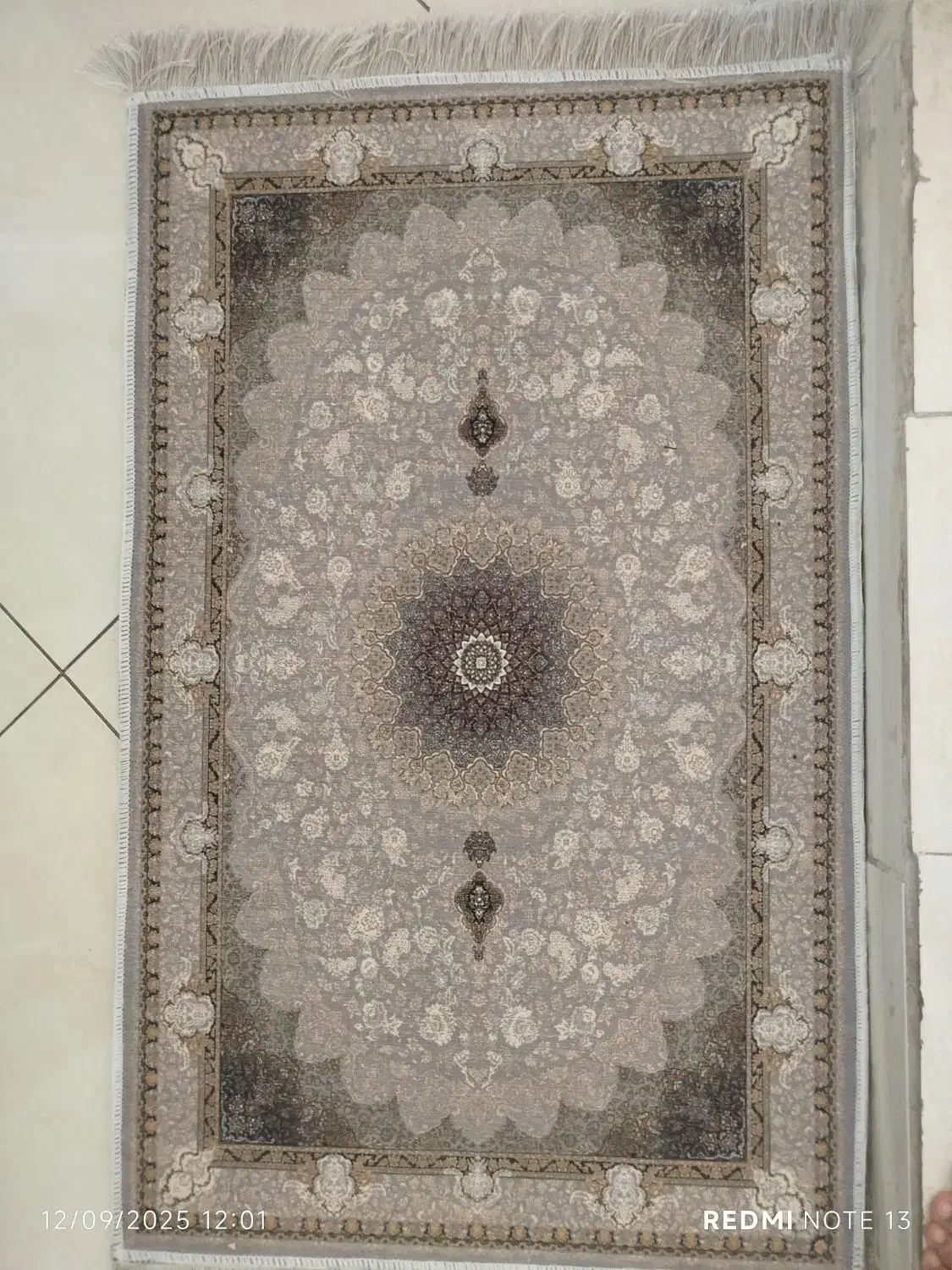 پادری|پادری|تهران, تهرانپارس غربی|دیوار