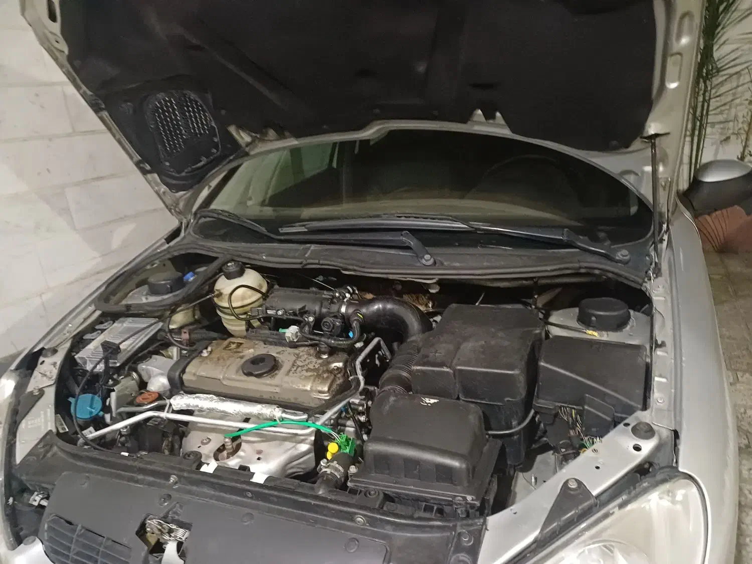 ۲۰۶ مدل ۸۳|خودرو سواری و وانت|قدس, شهرقدس|دیوار