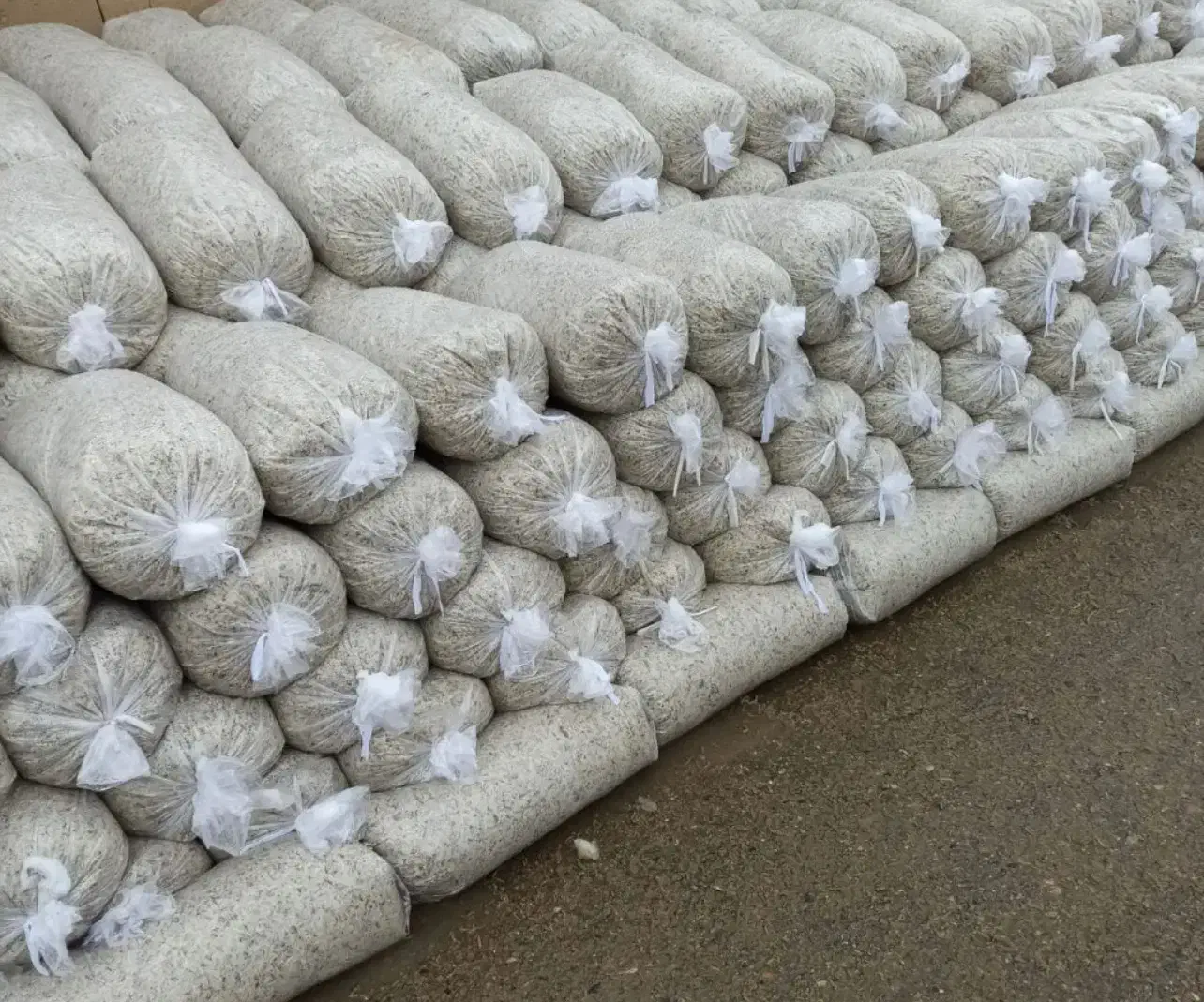 تفاله چغندر خشک و بی آب|عمده‌فروشی|ملایر, |دیوار