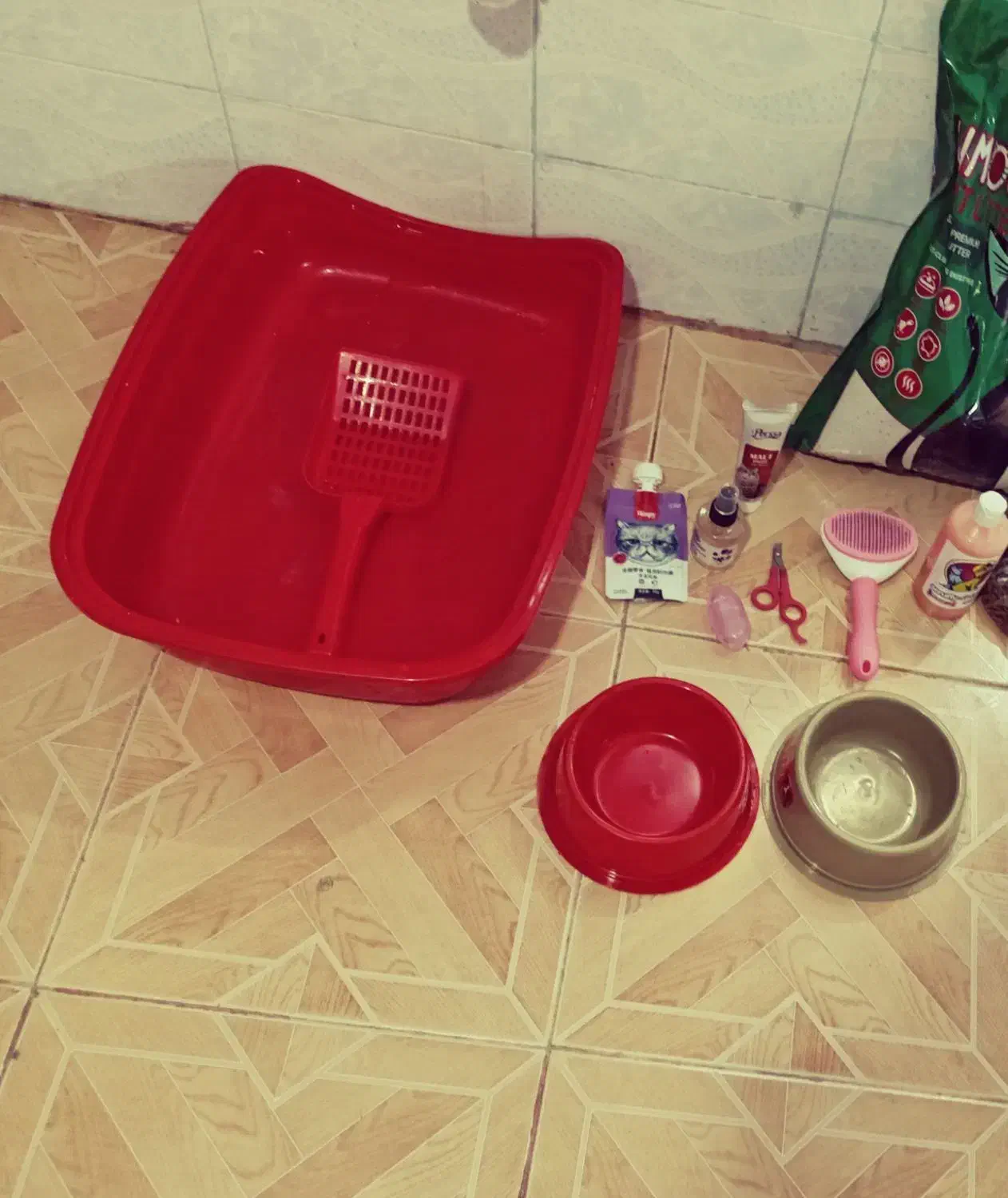 وسایل گربه 3 ملیون همگی باهم|لوازم جانبی حیوانات|یاسوج, |دیوار