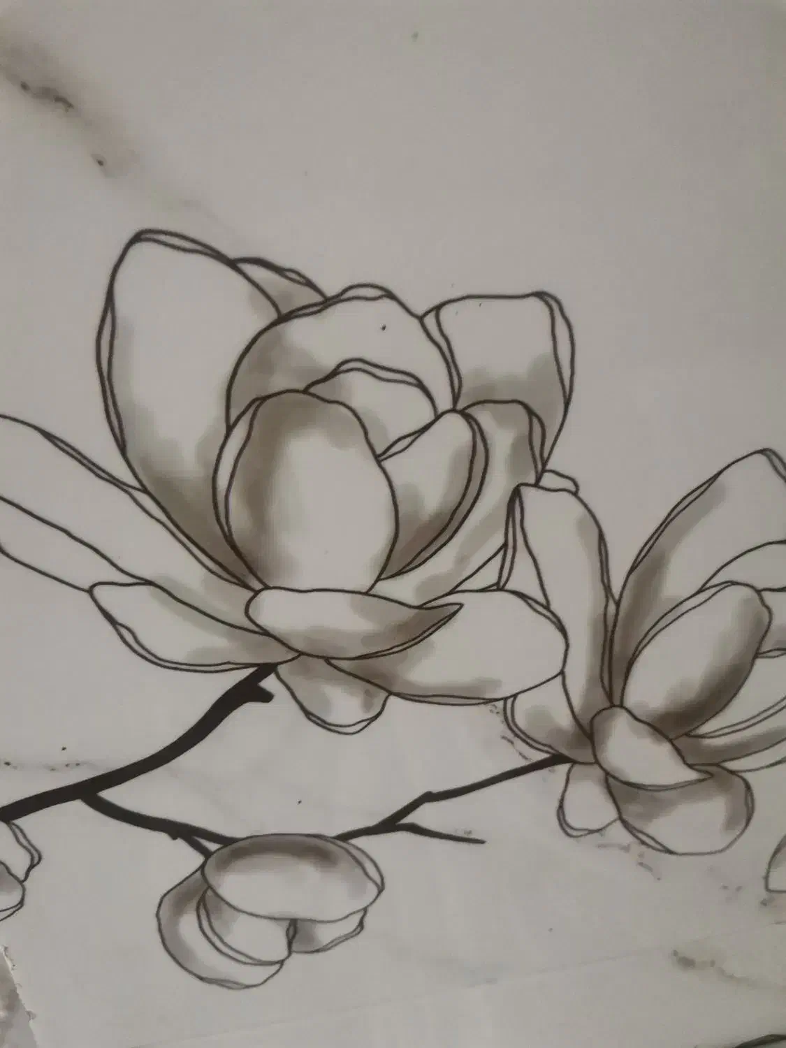 کار در ترکیه|استخدام معماری، عمران و ساختمانی|بجنورد, |دیوار