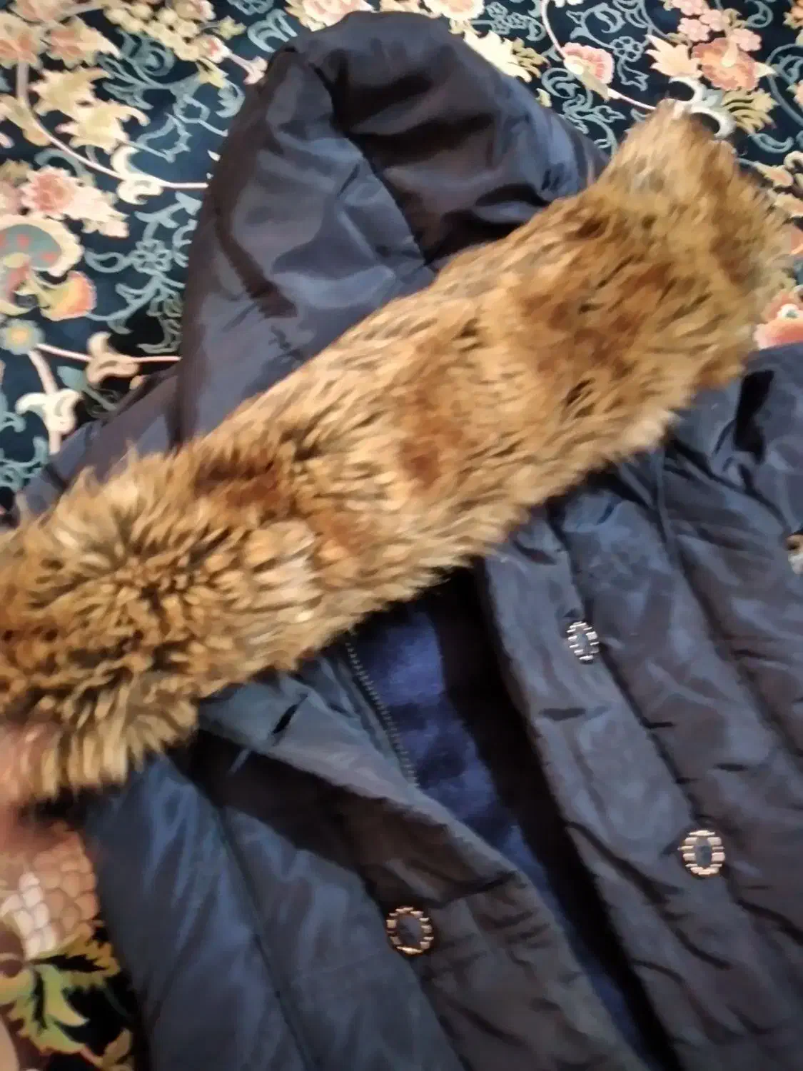 کاپشن دخترانه|لباس|گرگان, |دیوار