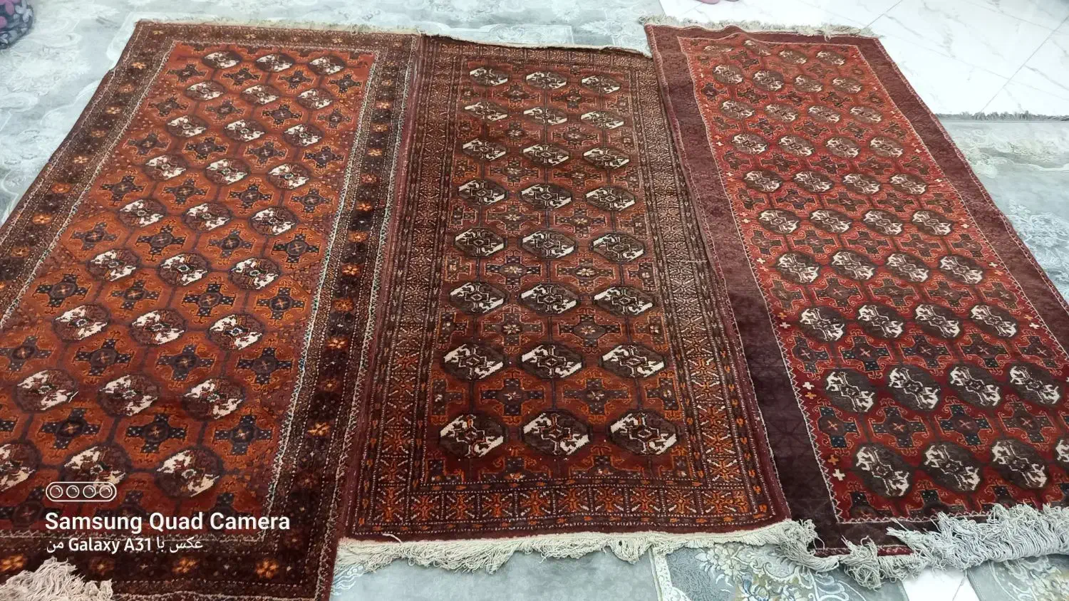 فرش قدیمی|فرش|تهران, مسعودیه|دیوار