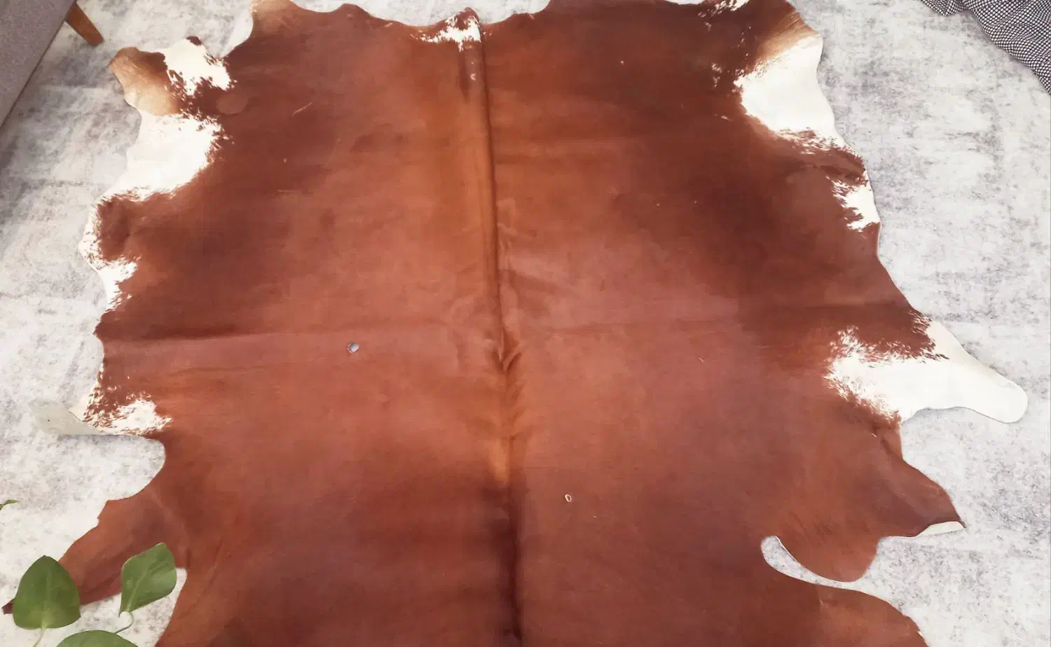 پوست بزرگ|فرش|مشهد, احمدآباد|دیوار