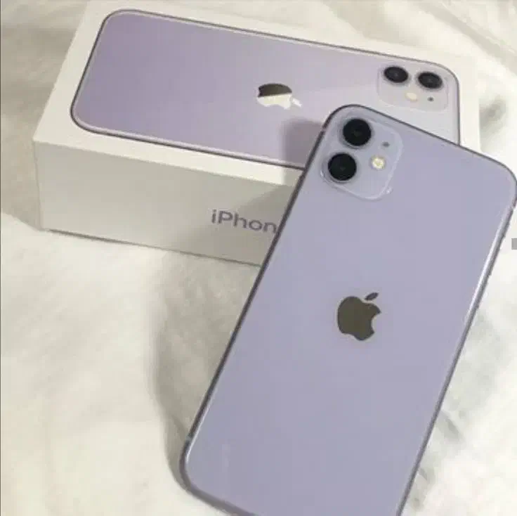 iphone 11 normal|موبایل|شیراز, سیلو|دیوار
