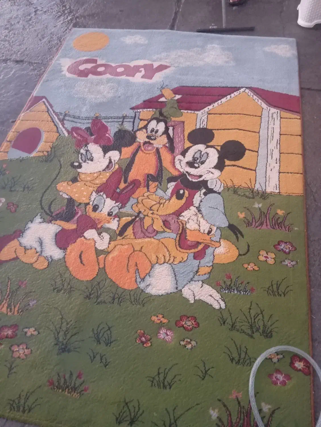 فرش اتاق بچه|فرش|سهند, |دیوار