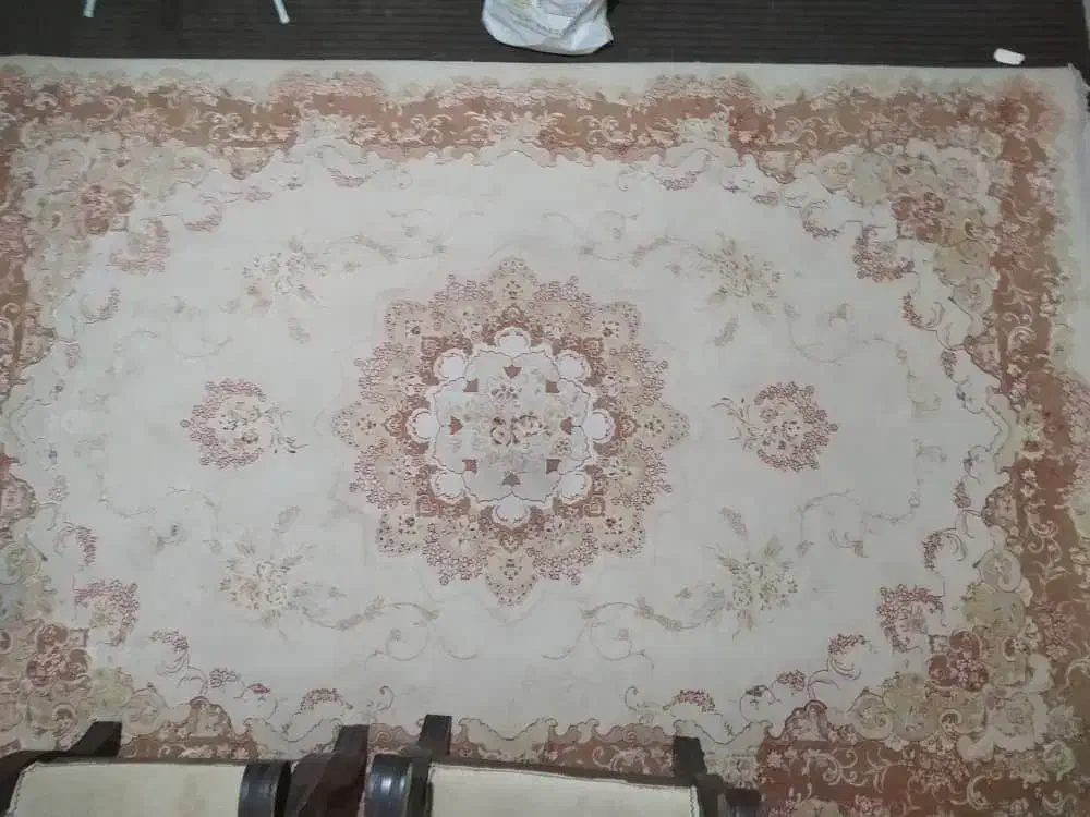 فرش ۶ متری|فرش|قزوین, |دیوار
