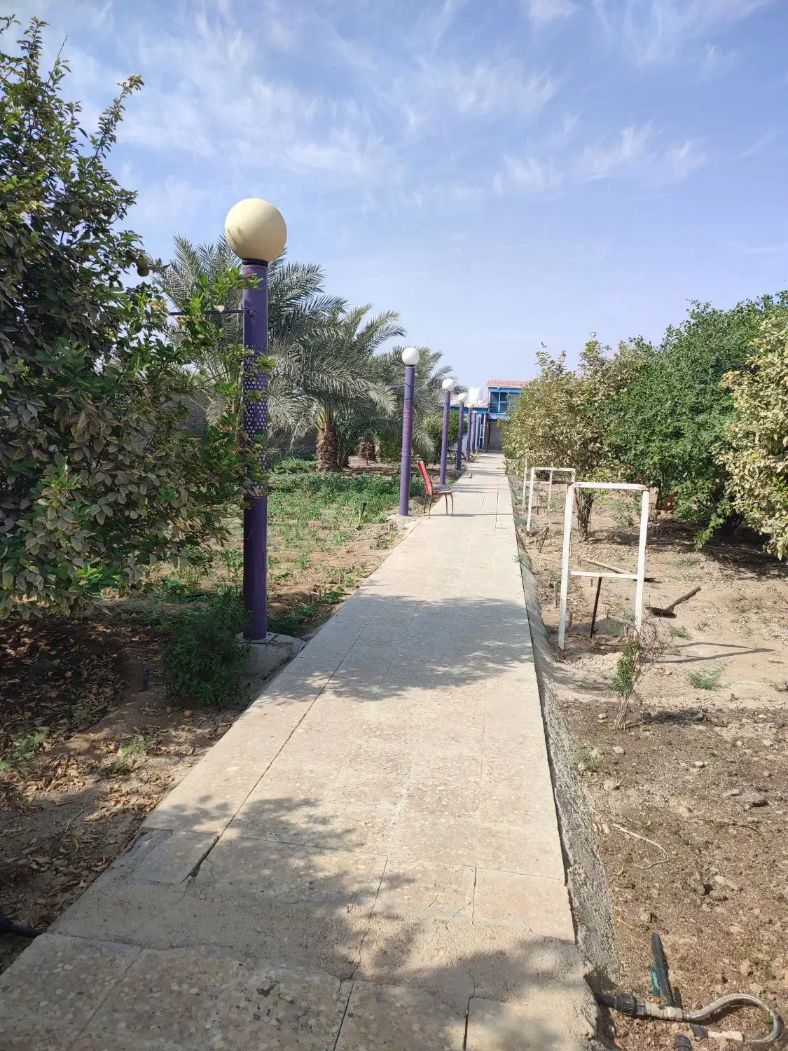 استخدام باغبان|استخدام سرایداری و نظافت|چغادک, |دیوار