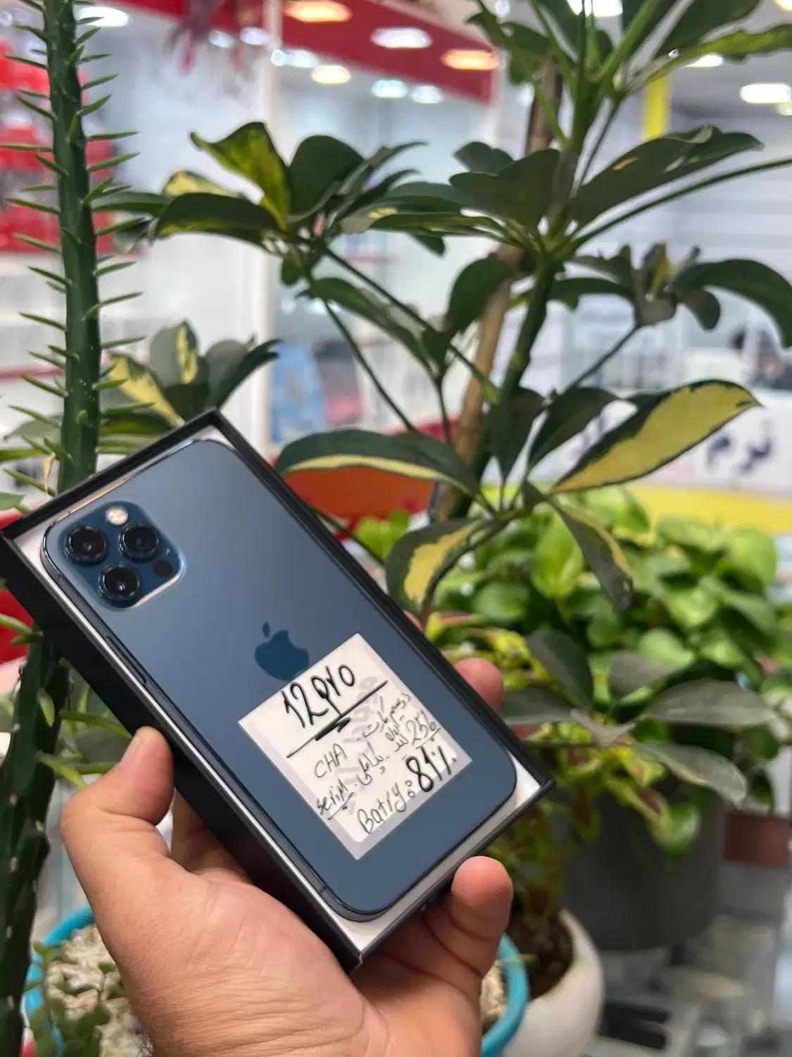 iPhone 12 pro|موبایل|شیراز, زند|دیوار