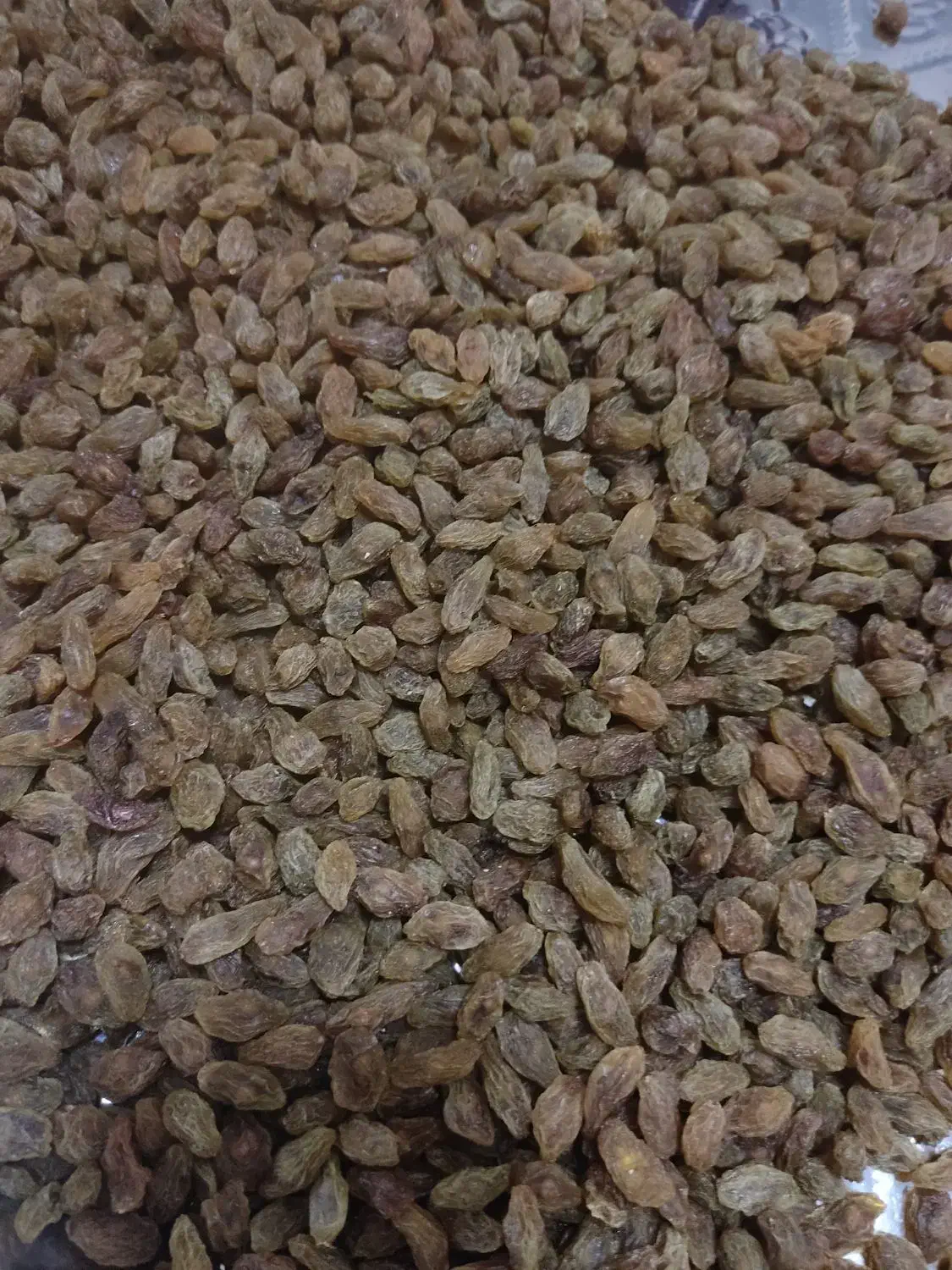 کشمش،مویز|خوردنی و آشامیدنی|رباط‌کریم, شهرک والفجر|دیوار