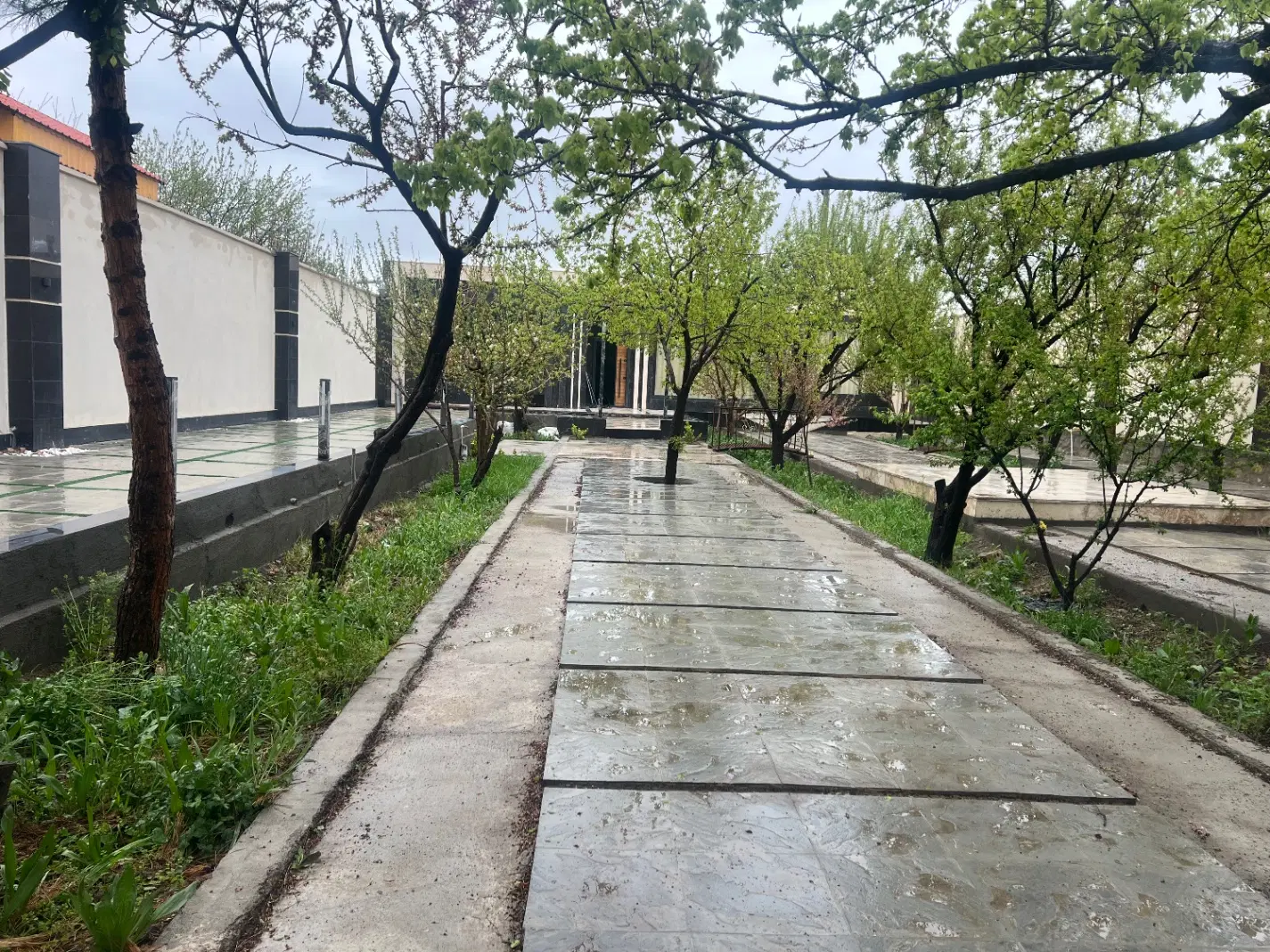 تصویر 9