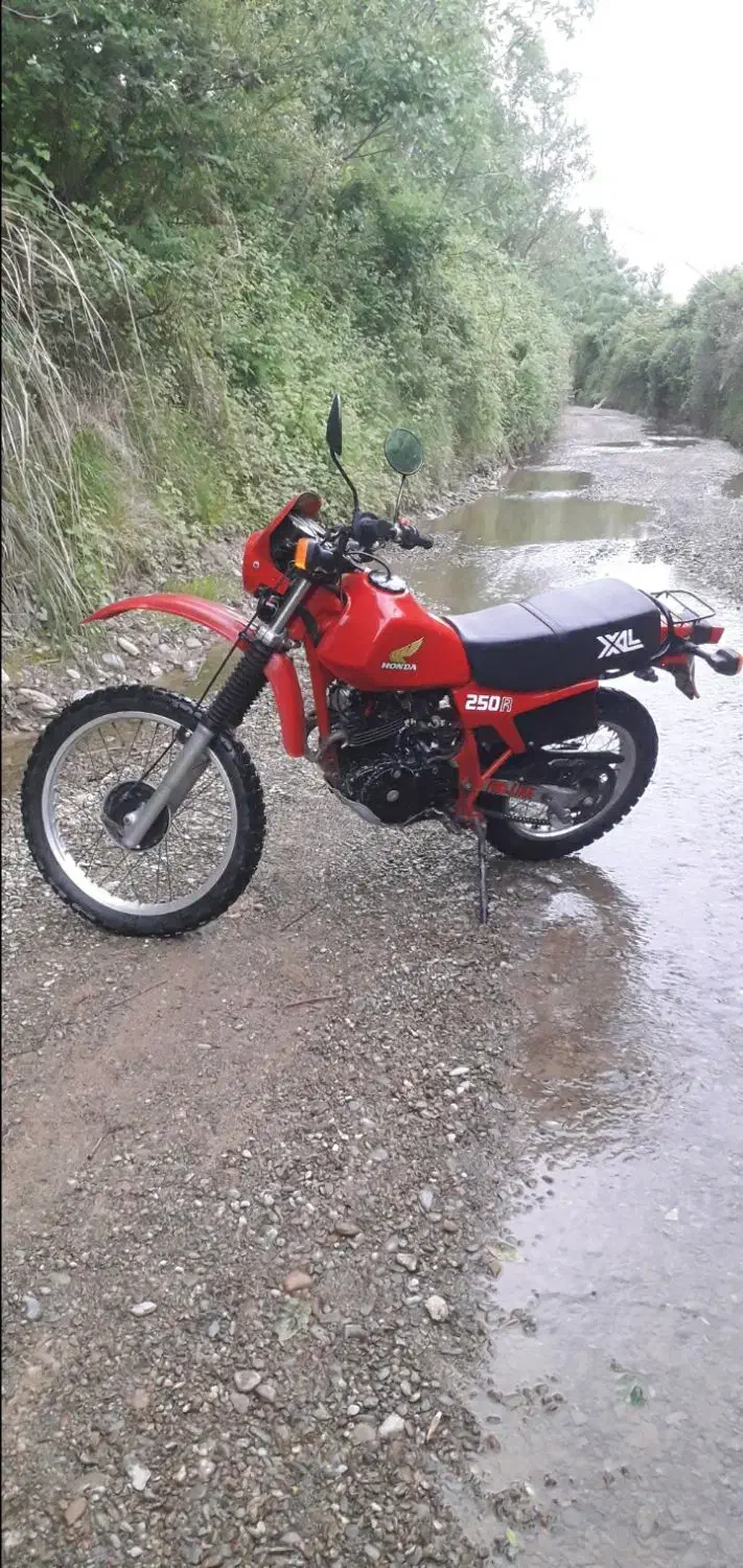 اکسل ۲۵۰ ژاپن|موتورسیکلت|کردکوی, |دیوار