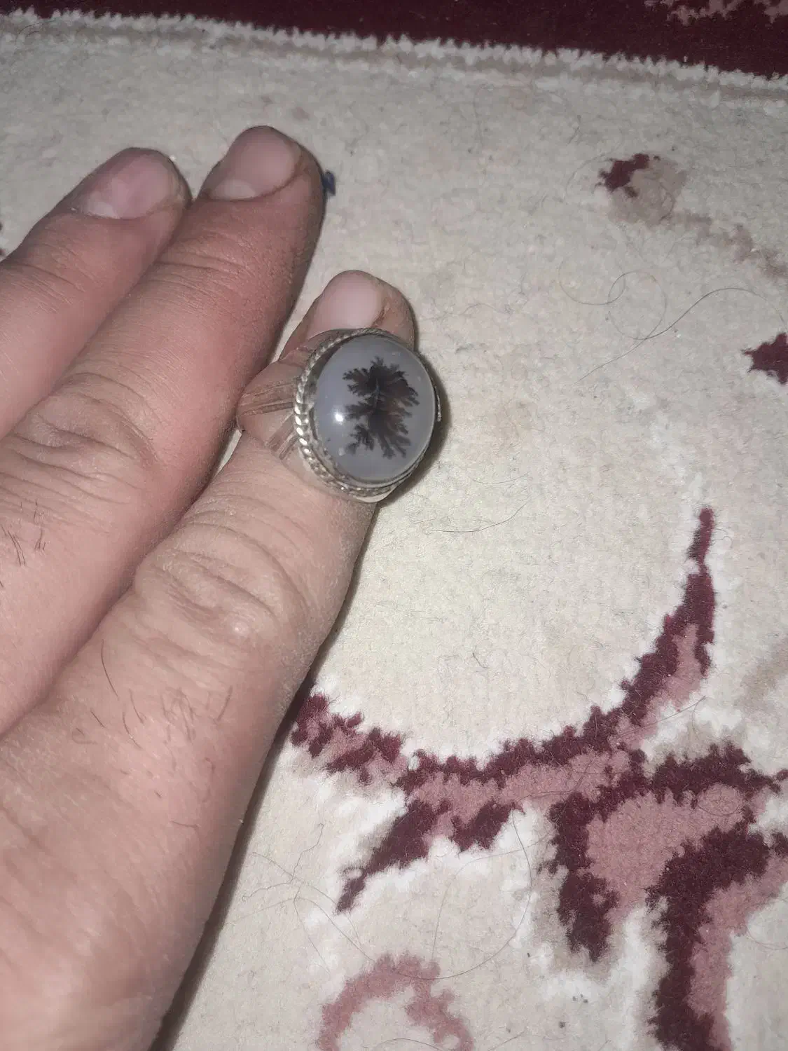 شجر|جواهرات|تربت‌حیدریه, باغ ملی|دیوار