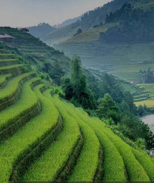 سالندار خانم و نیروی خانم برای آشپزخانه|استخدام خدمات فروشگاه و رستوران|بیرجند, |دیوار