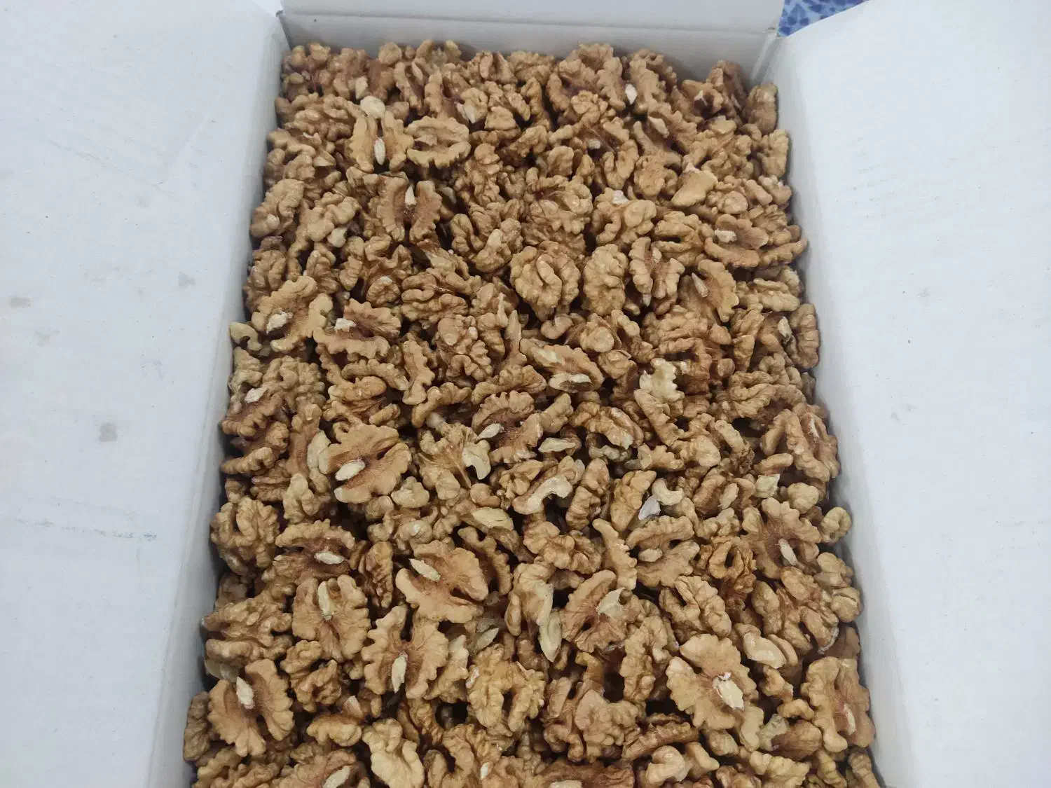 مغز گردو سفید و شکری|خوردنی و آشامیدنی|قم, حاج زینل|دیوار