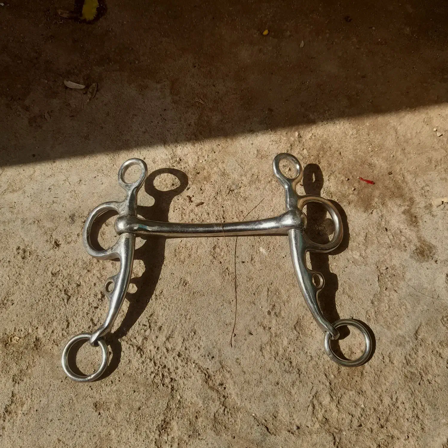 دهنه اسب|اسب و تجهیزات اسبسواری|ریگان, |دیوار