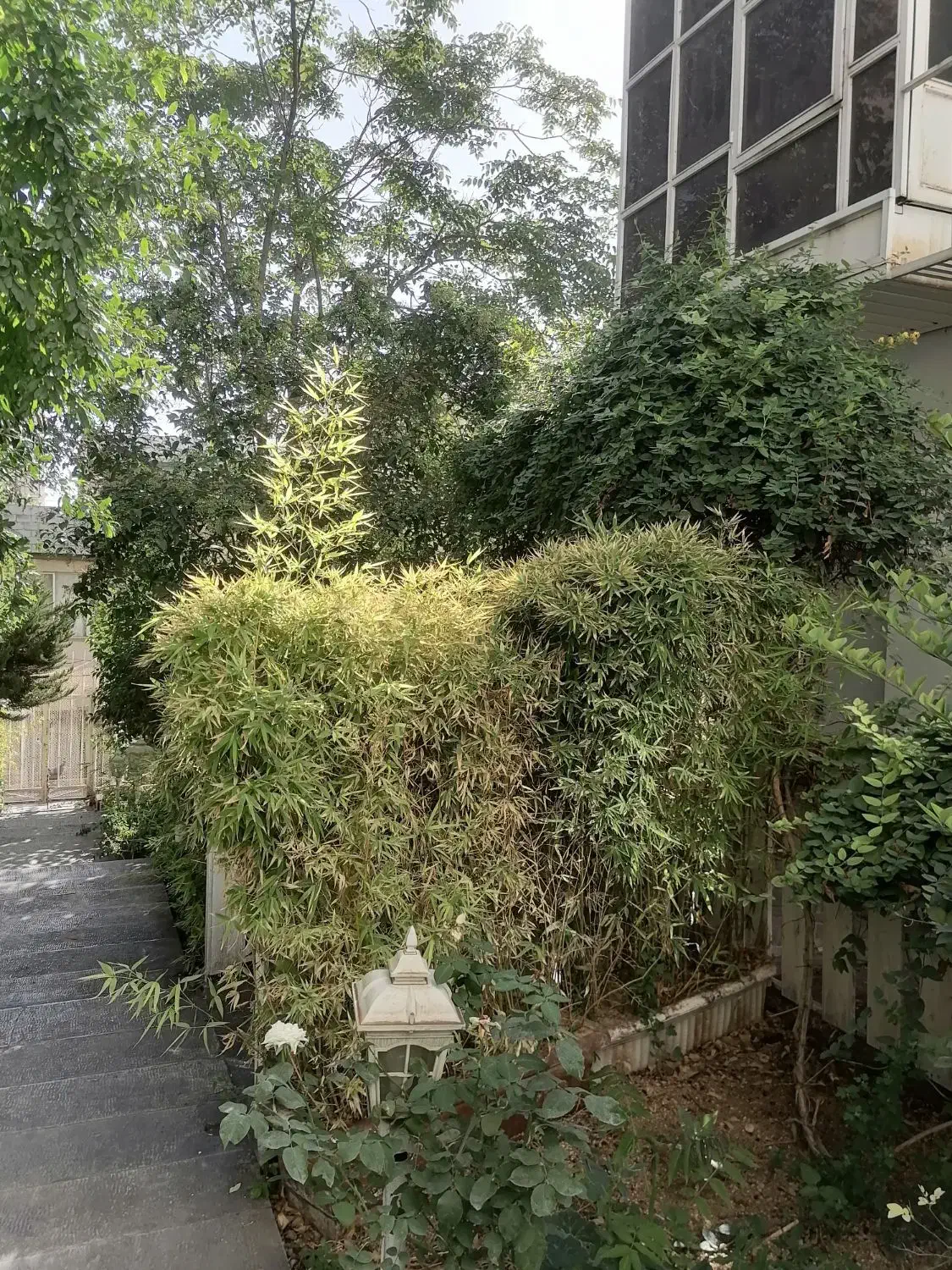 65 متر اخوابه دربند اسدالهی باغ شاطر|اجارهٔ آپارتمان|تهران, دربند|دیوار