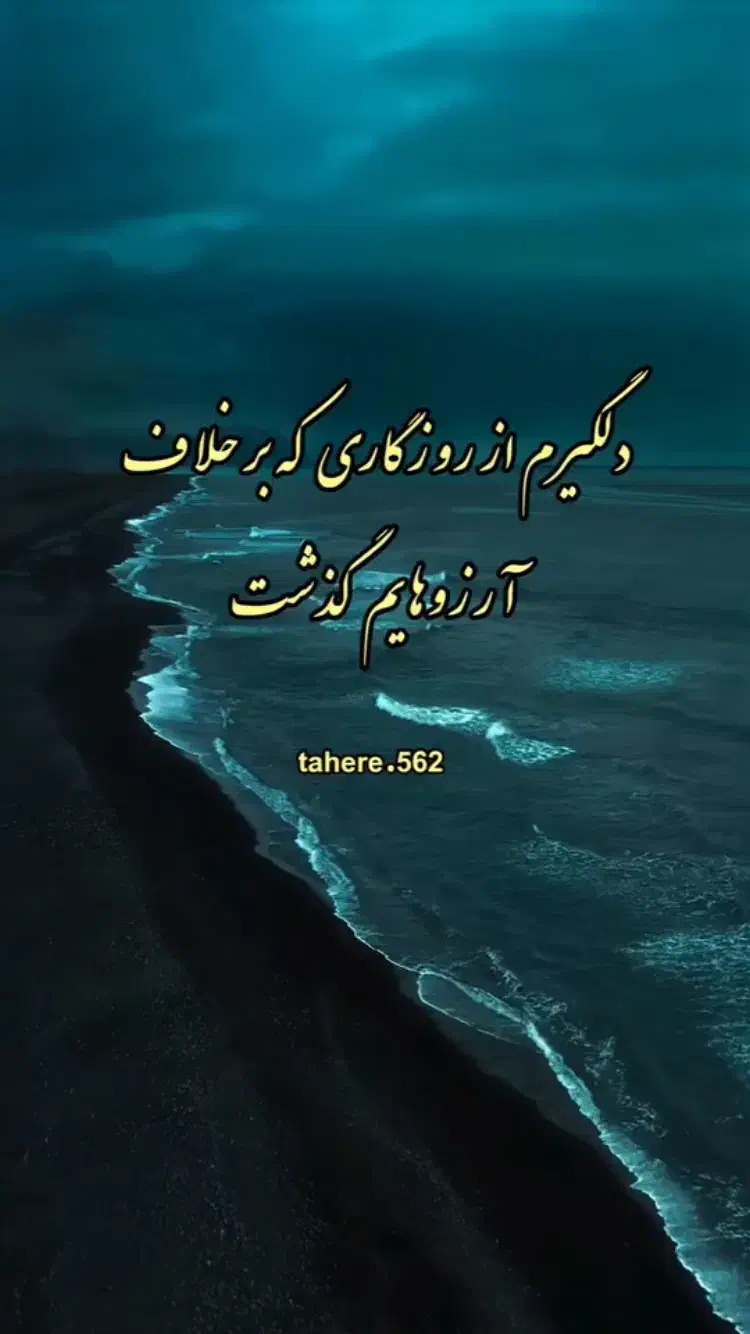 کبوتر|حیوانات|برازجان, |دیوار