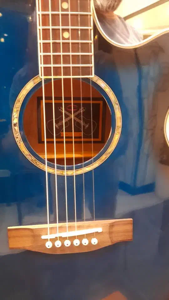 گیتار آگوستیک|گیتار، بیس، امپلیفایر|تهران, فلسطین (میدان انقلاب)|دیوار