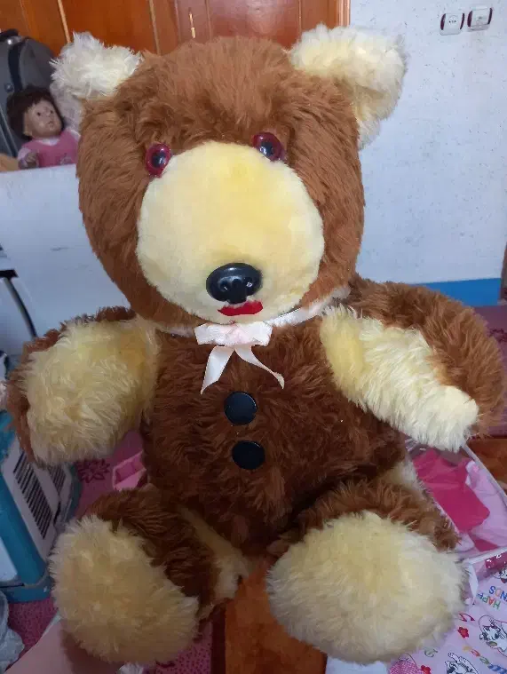 خرس کاملا نو|کلکسیون و سرگرمی|دورود, |دیوار