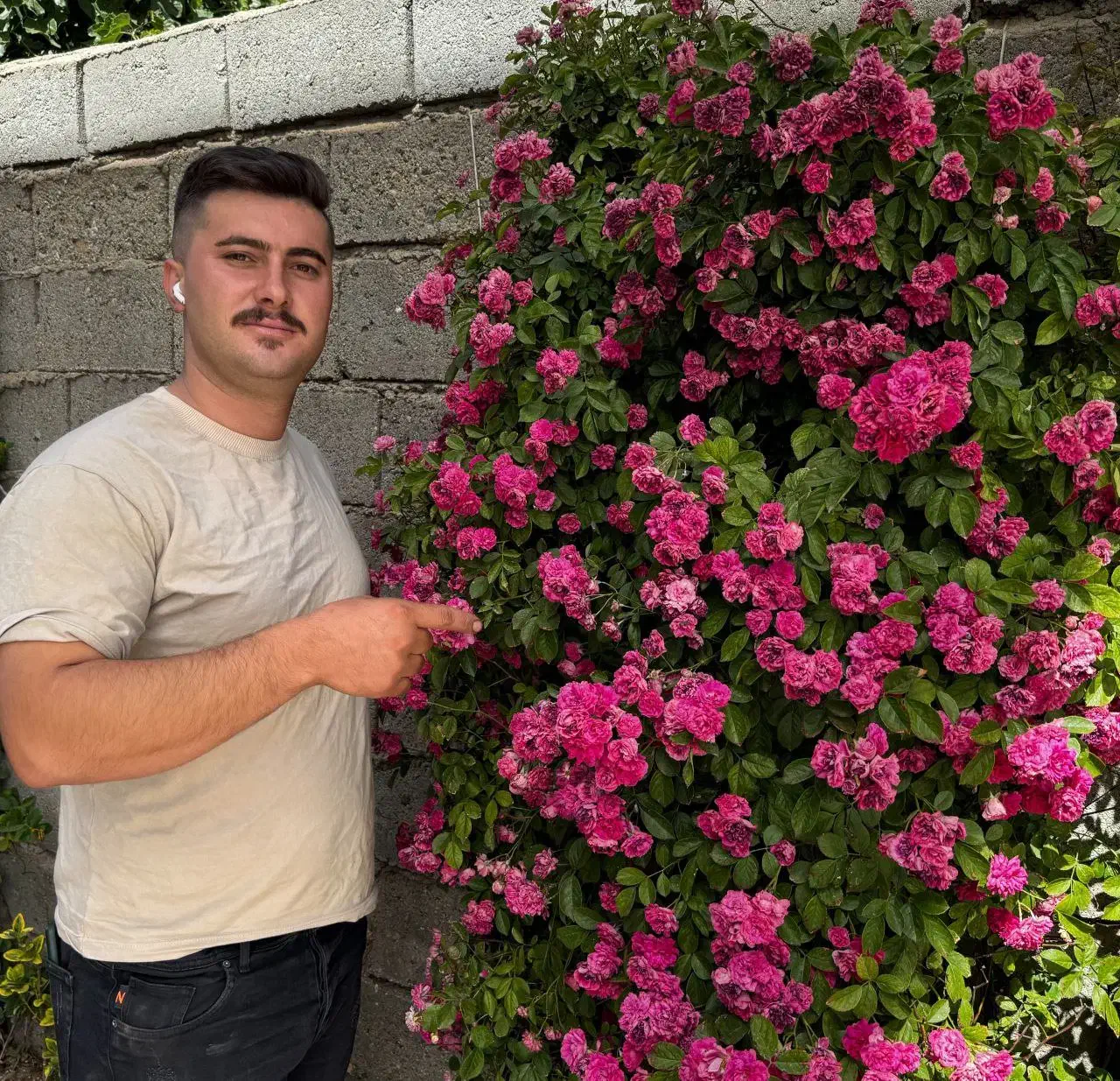 اینده ای سبز با غرب نهال|خدمات باغبانی و درختکاری|آستارا, |دیوار