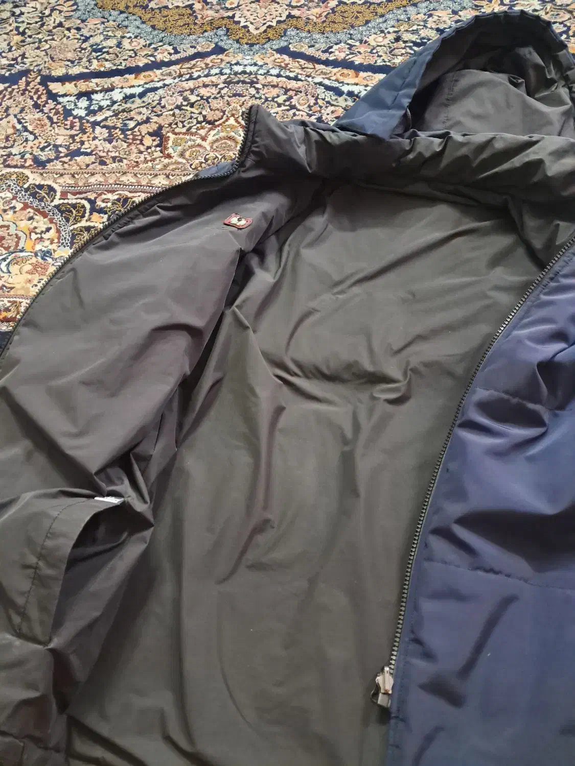 کاپشن|لباس|شاهین‌شهر, دکتر حسابی|دیوار