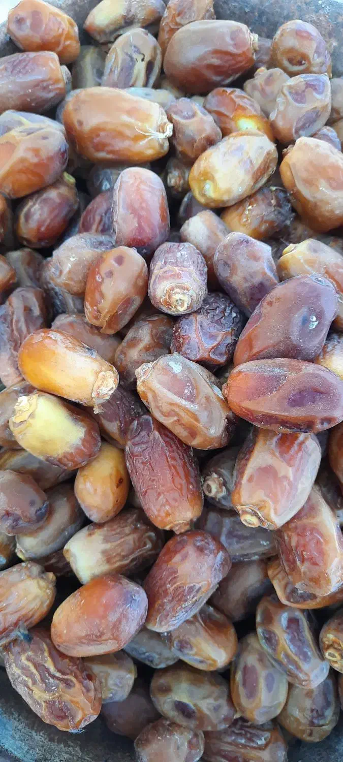 خرمای زاهدی درجه یک زیر قیمت بازار|عمدهفروشی|خورموج, |دیوار