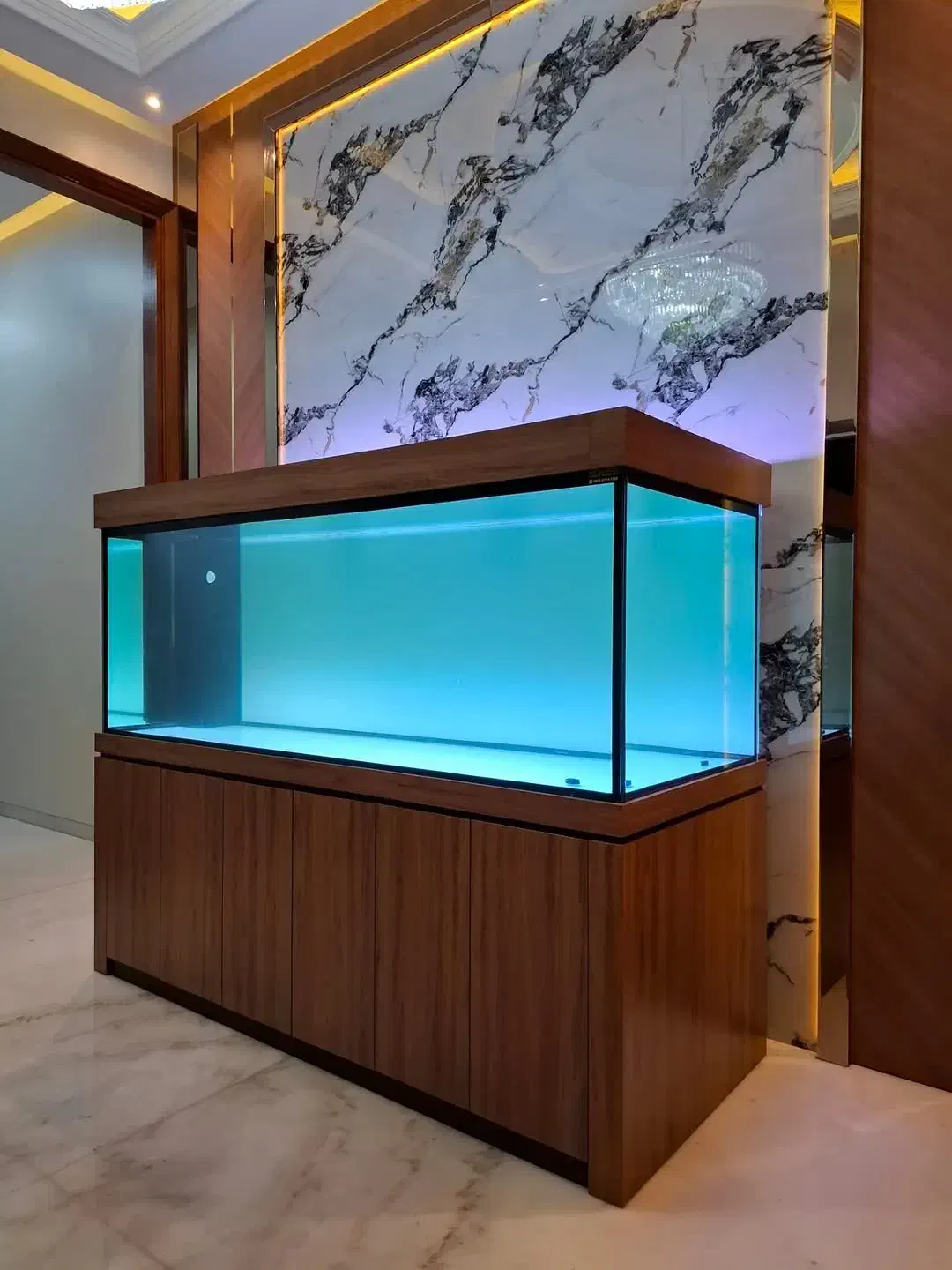 خدمات اکواریوم|ماهی|تهران, جردن|دیوار