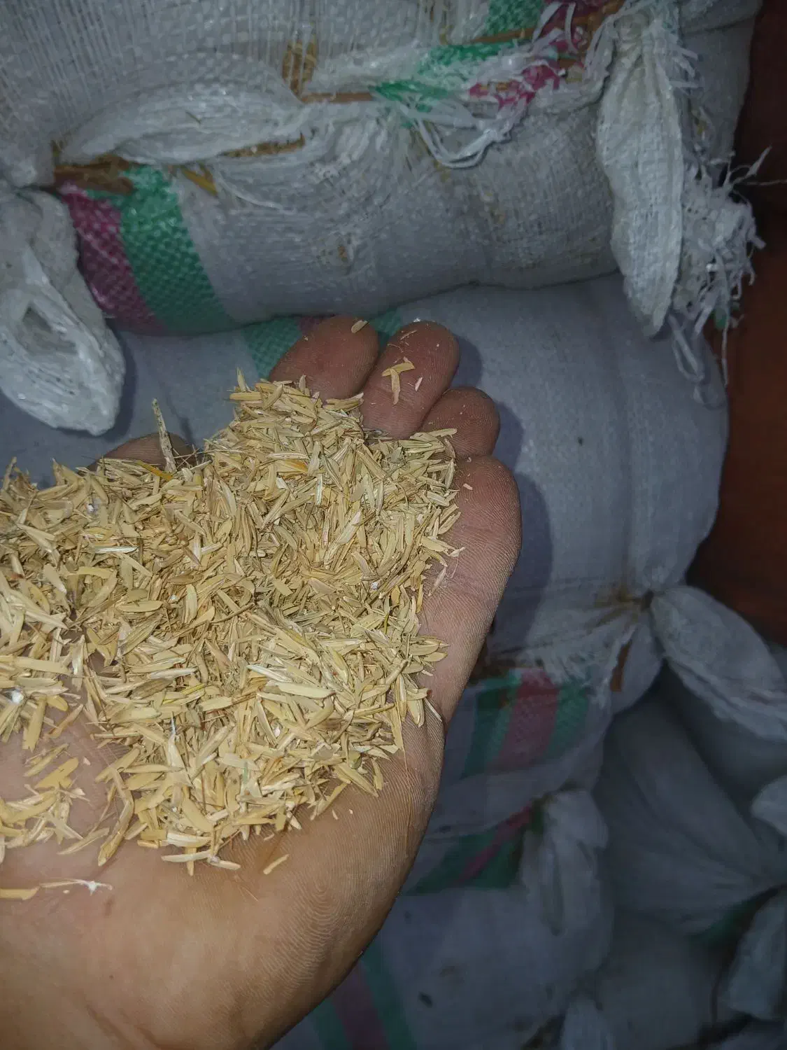 پوسته برنج به صورت کلی وجزئی قیمت ۵۰۰۰تومان|خدمات باغبانی و درختکاری|کیاشهر, |دیوار