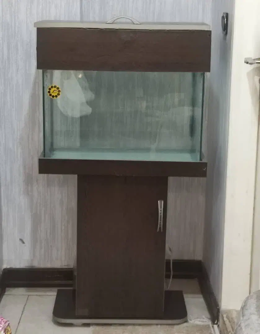 آکواریوم|ماهی|تهران, افسریه شمالی|دیوار