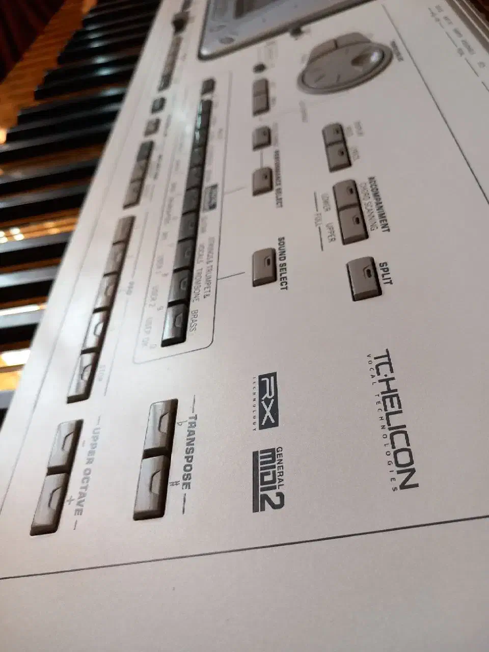 کیبورد|پیانو، کیبورد، آکاردئون|اردبیل, |دیوار