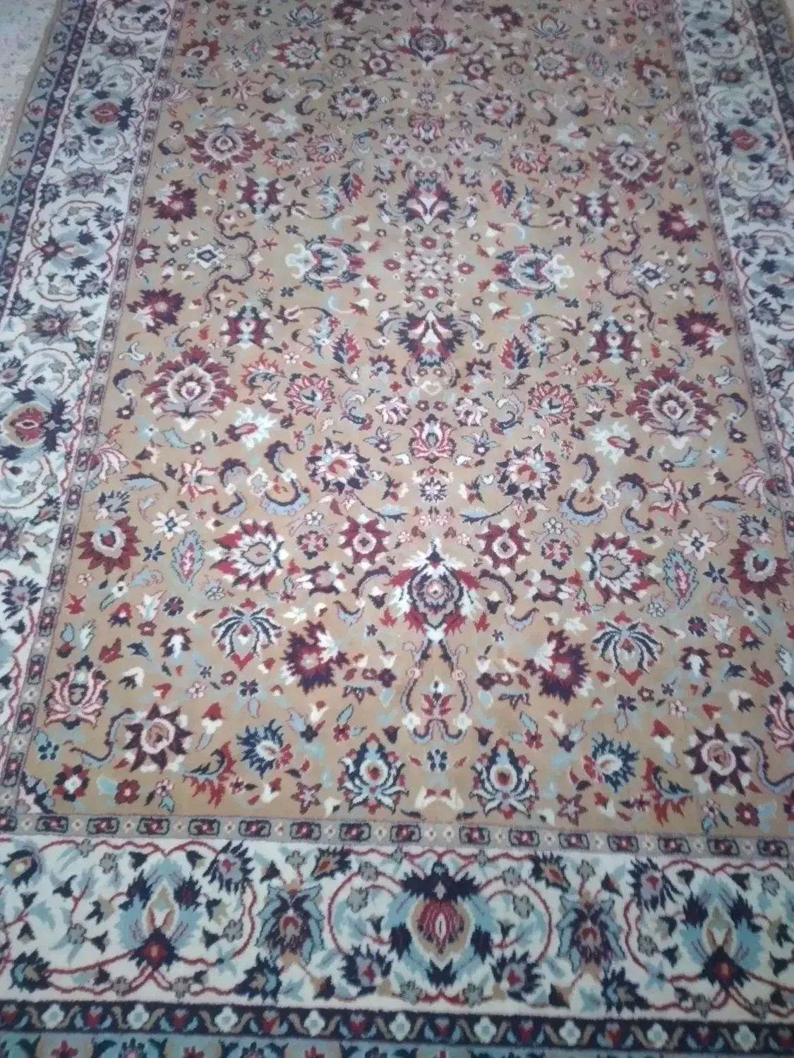 یک تخته فرش شش متری نیاز به رفو دارد کوچک دو ملیون|فرش|محمدشهر, سیدآباد|دیوار