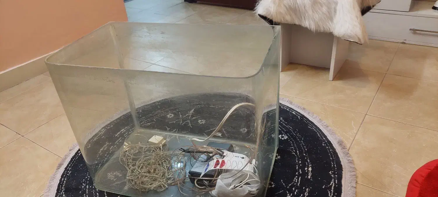 آکواریوم شیشه خم|ماهی|دورود, |دیوار