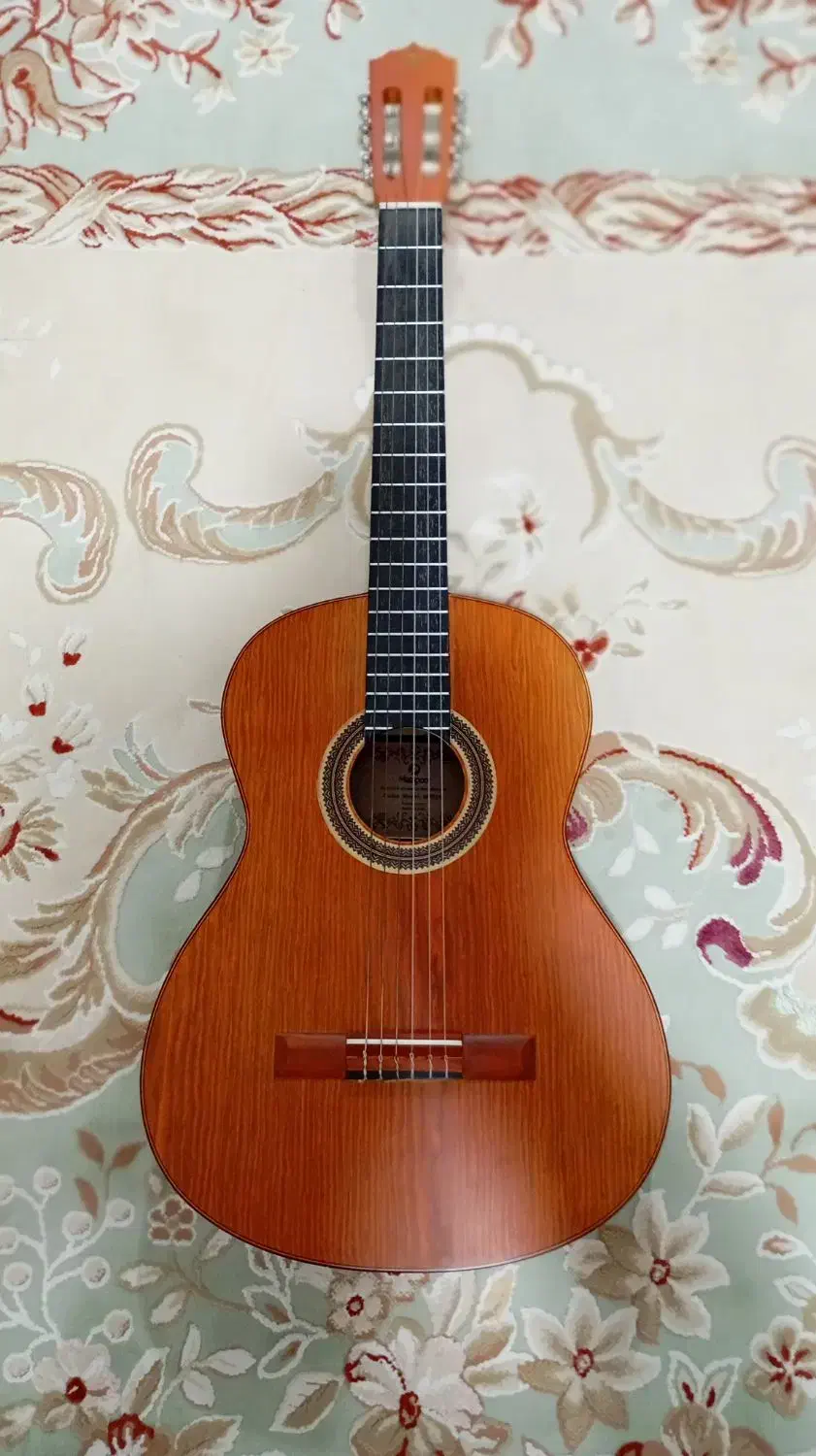 گیتار مت دو پلاس نونو .همراه با کاور|گیتار، بیس، امپلیفایر|شوشتر, |دیوار