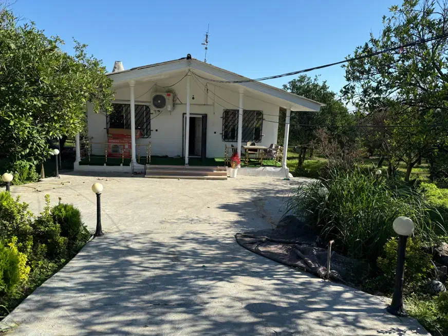 فروش یا معاوضه خانه باغ ویلایی|فروش خانه و ویلا|رامسر, |دیوار