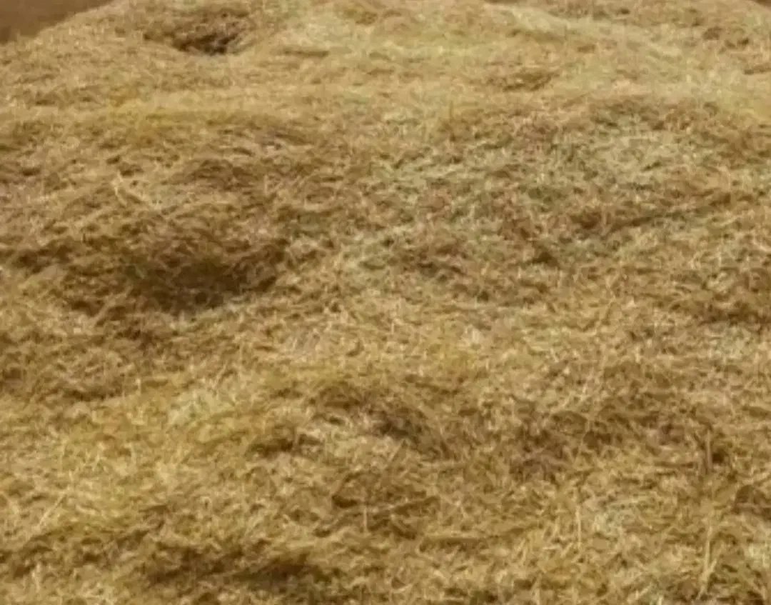 کاه نرم|لوازم جانبی حیوانات|زاغه, |دیوار