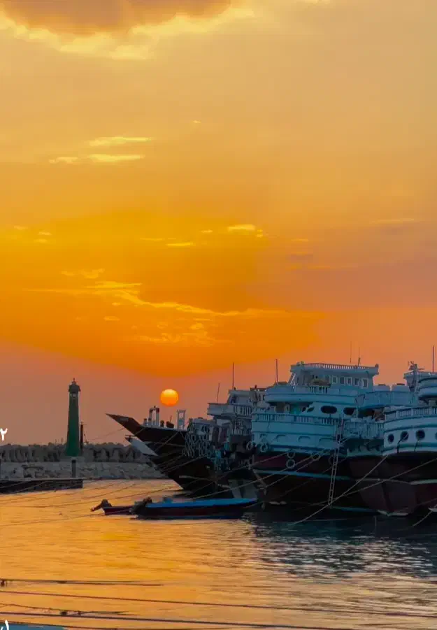 آموزش رانندگی|خدمات آموزشی|بوشهر, |دیوار