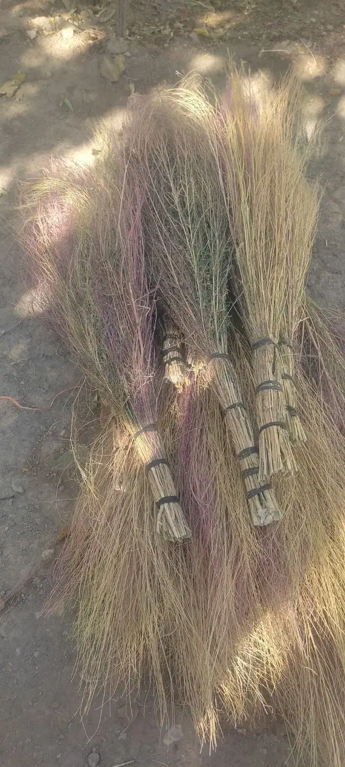 جارو بزرگ|لوازم نظافت|قیدار, |دیوار