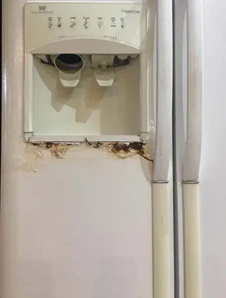 نصب و تعمیر تخصصی،یخچال،لباسشویی ظرفشویی با ضمانت|خدمات پیشه و مهارت|هشتگرد, هشتگرد قدیم|دیوار