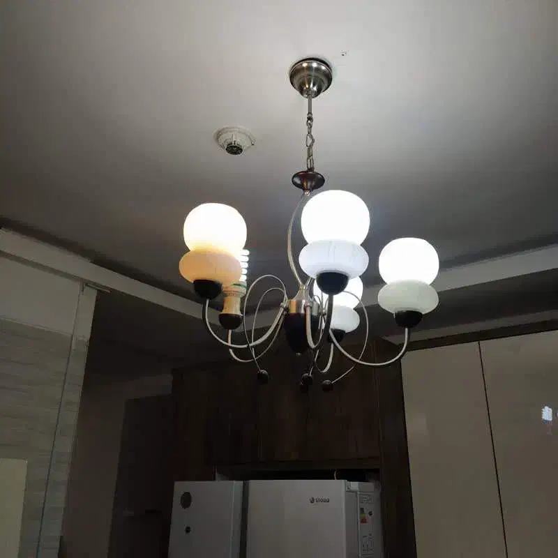 لوستر|لوستر و چراغ آویز|اراک, |دیوار