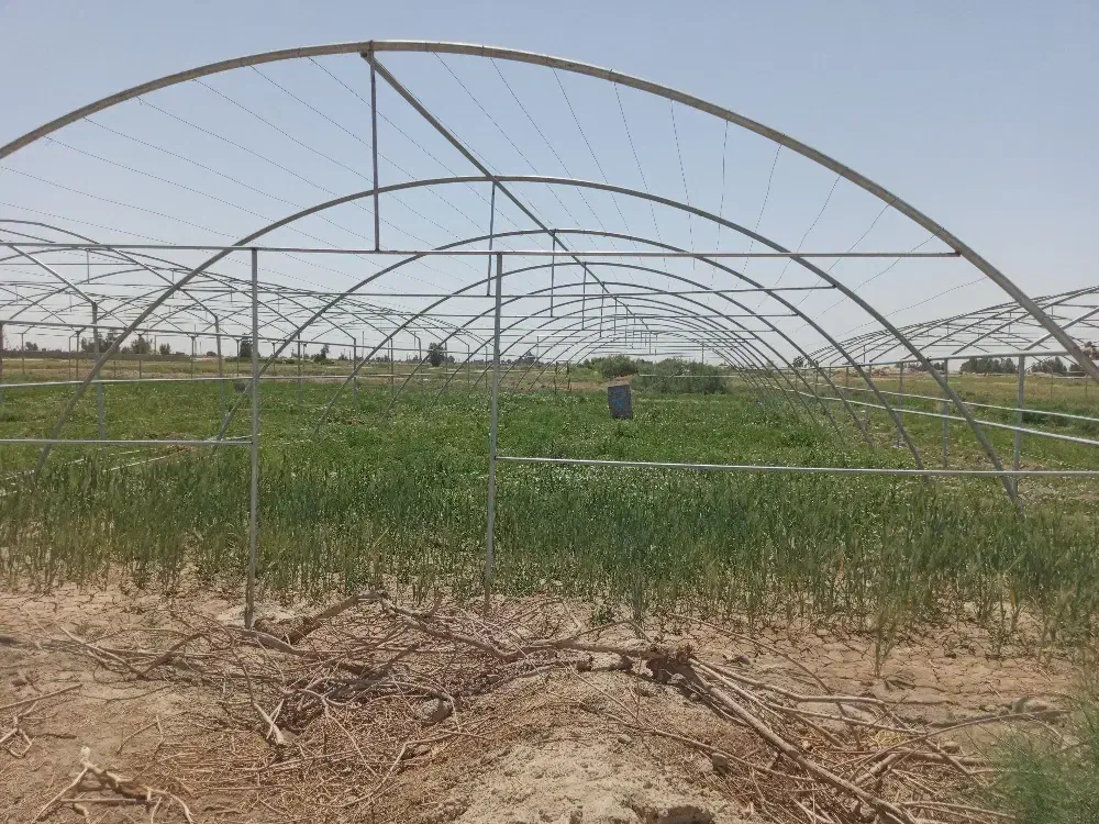 نصب گلخانه|خدمات پیشه و مهارت|تیمور آباد, |دیوار