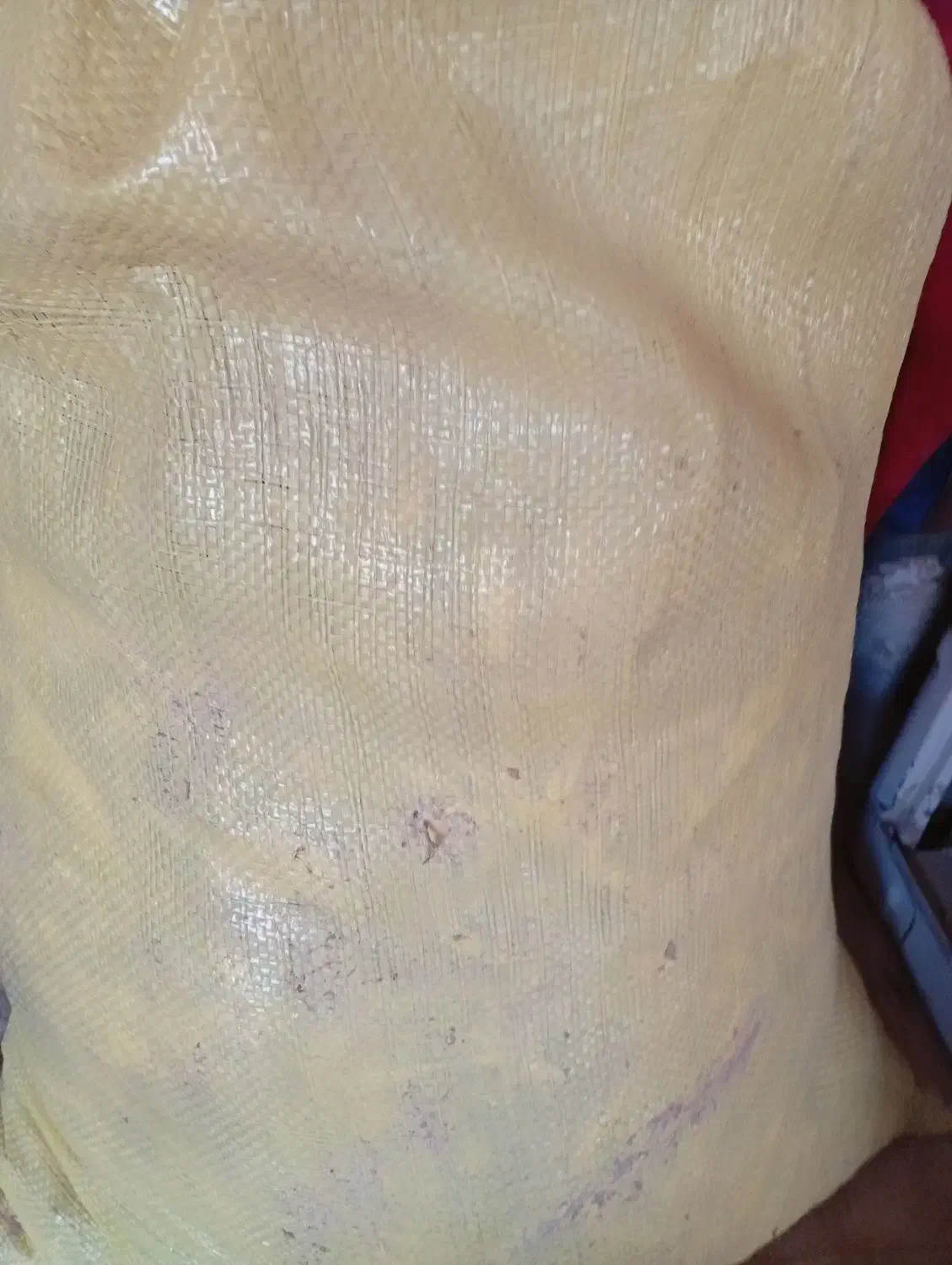 زیل کبوتر|لوازم جانبی حیوانات|تبریز, |دیوار