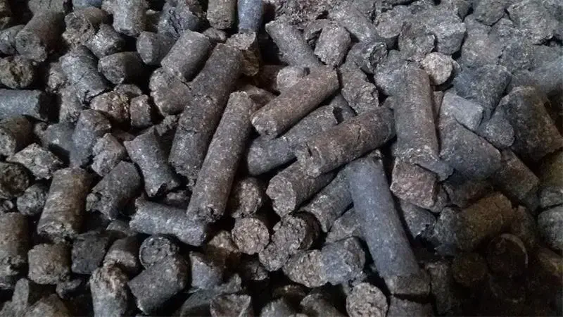 خوراک دام  کاه نیشکر|لوازم جانبی حیوانات|بندرعباس, |دیوار