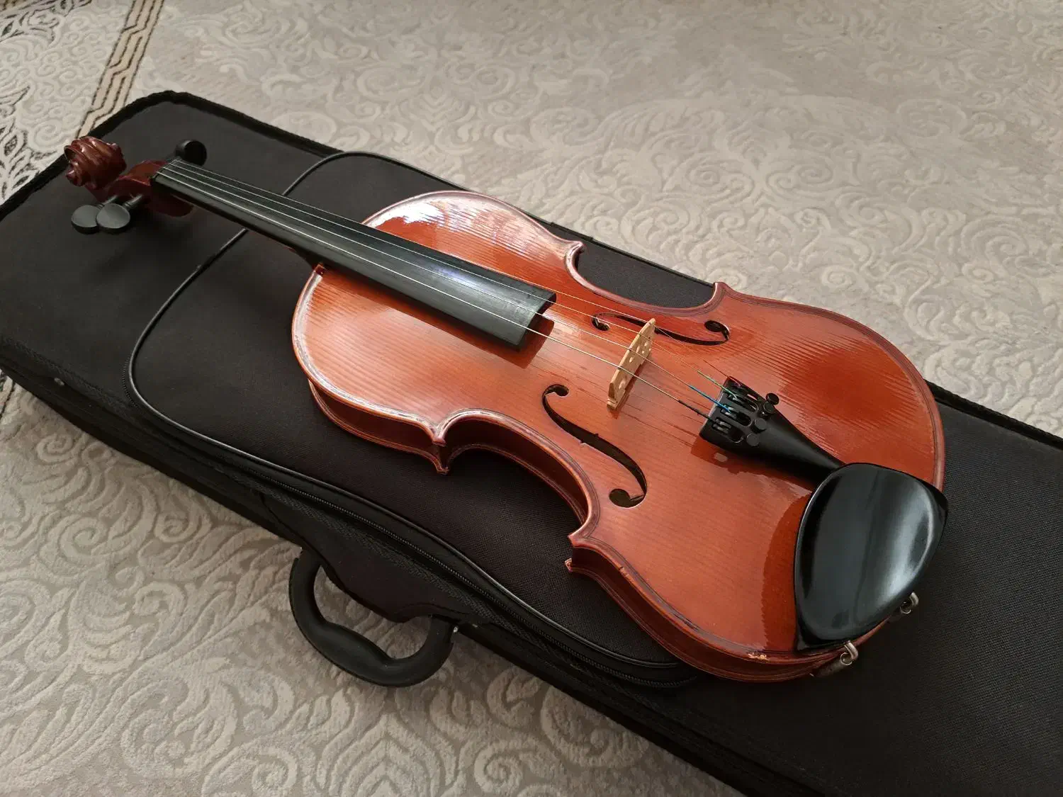 ویولن 4/4|ویولن|داراب, |دیوار