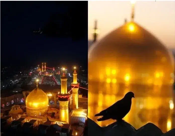 تور کربلا با شرایط اقساطی و تور مشهد|تور و چارتر|اهر, |دیوار