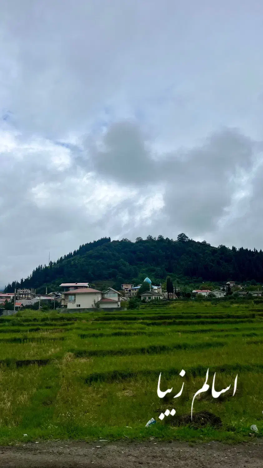 جشنواره پاییزه فروش ویلا و زمین با اقساط بلندمدت|فروش خانه و ویلا|اسالم, |دیوار