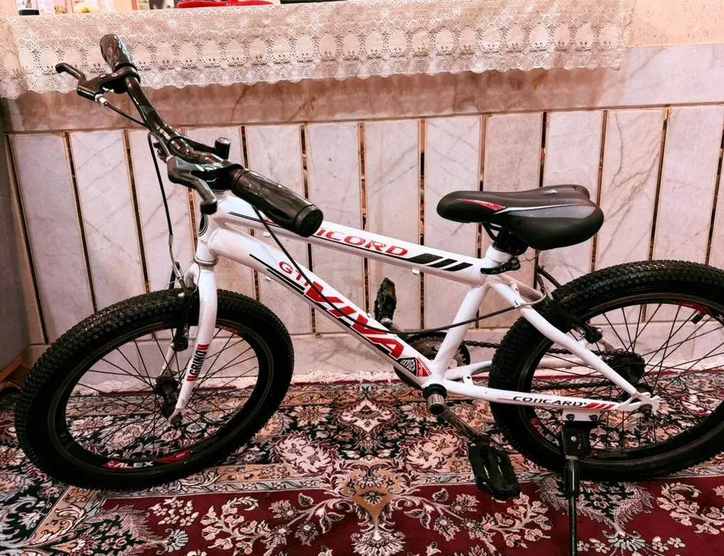 دوچرخه 20تک سرعت طوقه مثلثی خارجی|دوچرخه، اسکیت، اسکوتر|شهرضا, |دیوار