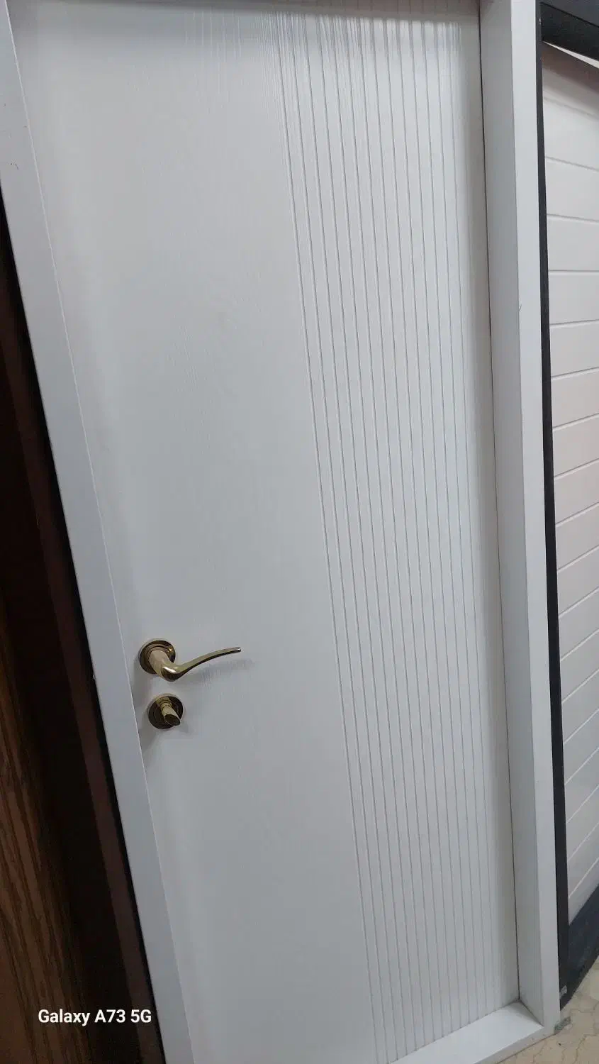 درب داخلی ساختمان مدل  t001|مصالح و تجهیزات ساختمان|برخوار, |دیوار