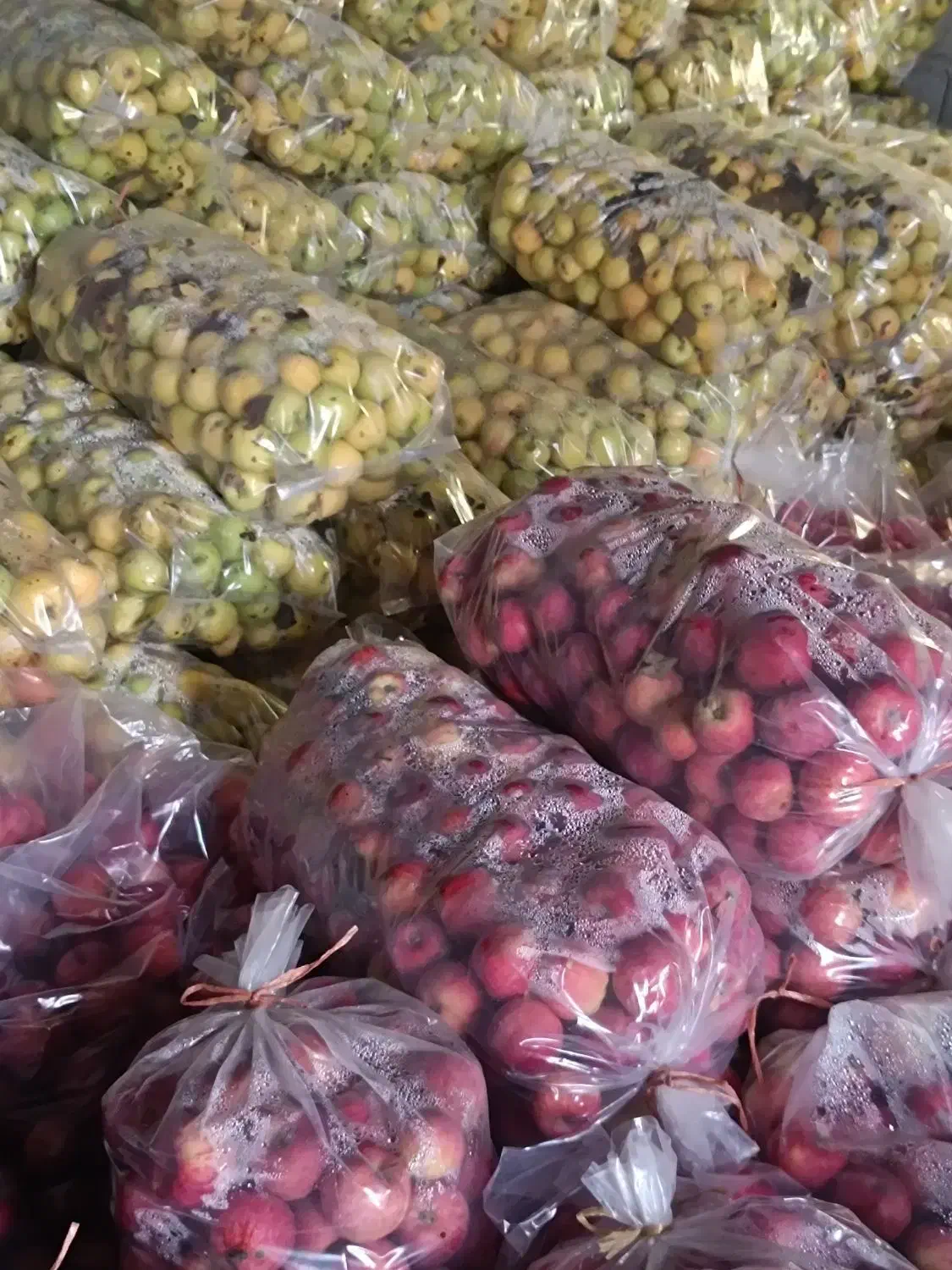 سیب درجه دو پلاستیک|خوردنی و آشامیدنی|اهر, |دیوار